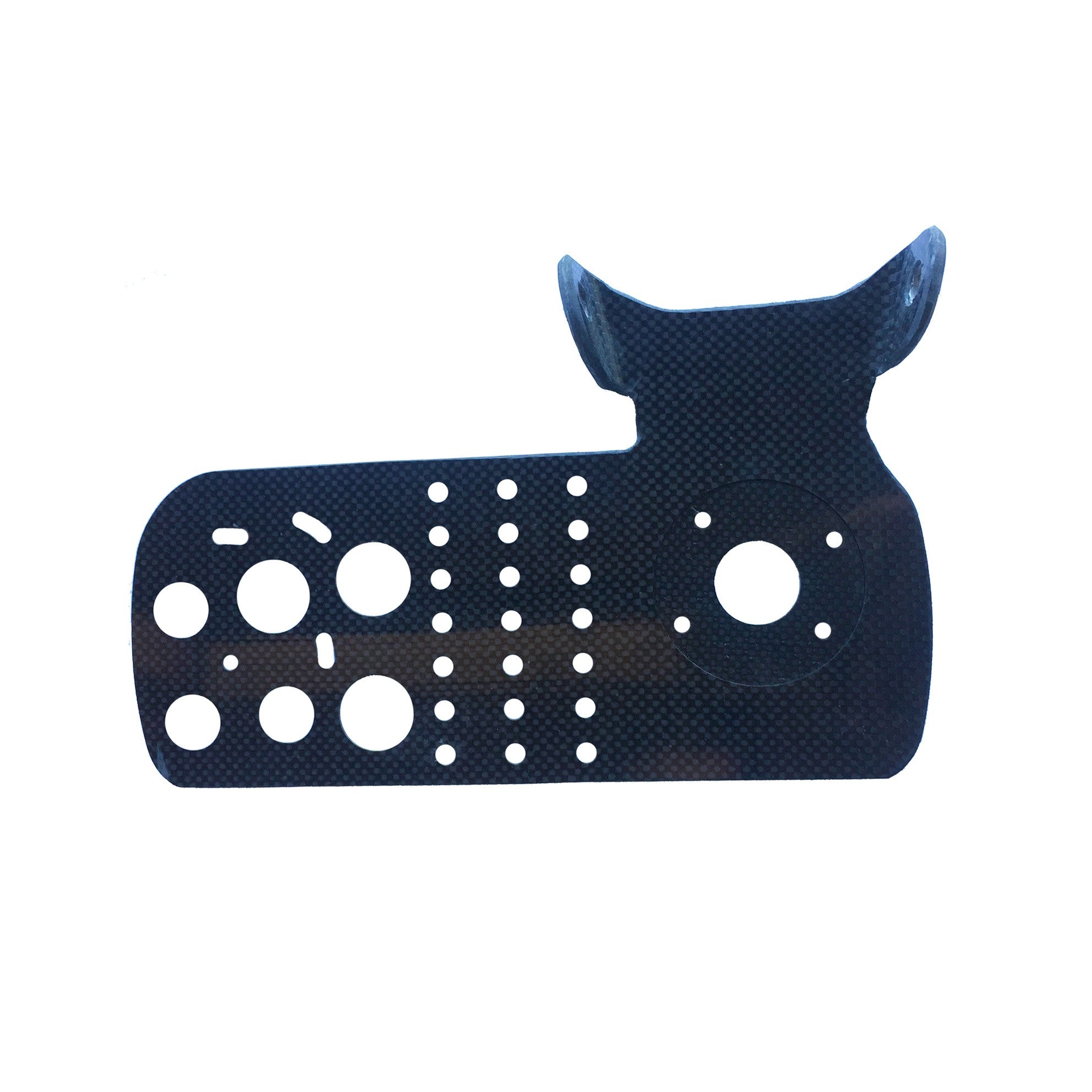 Plaquette directionnelle Carbone Premium